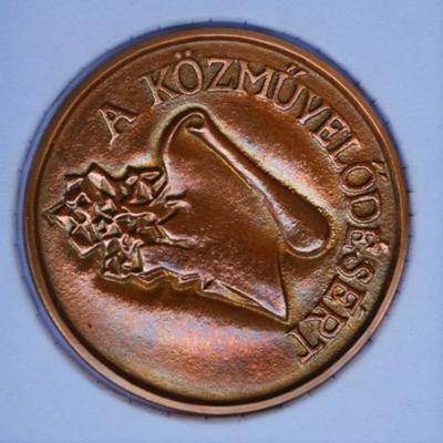 Dij a Közművelődésért